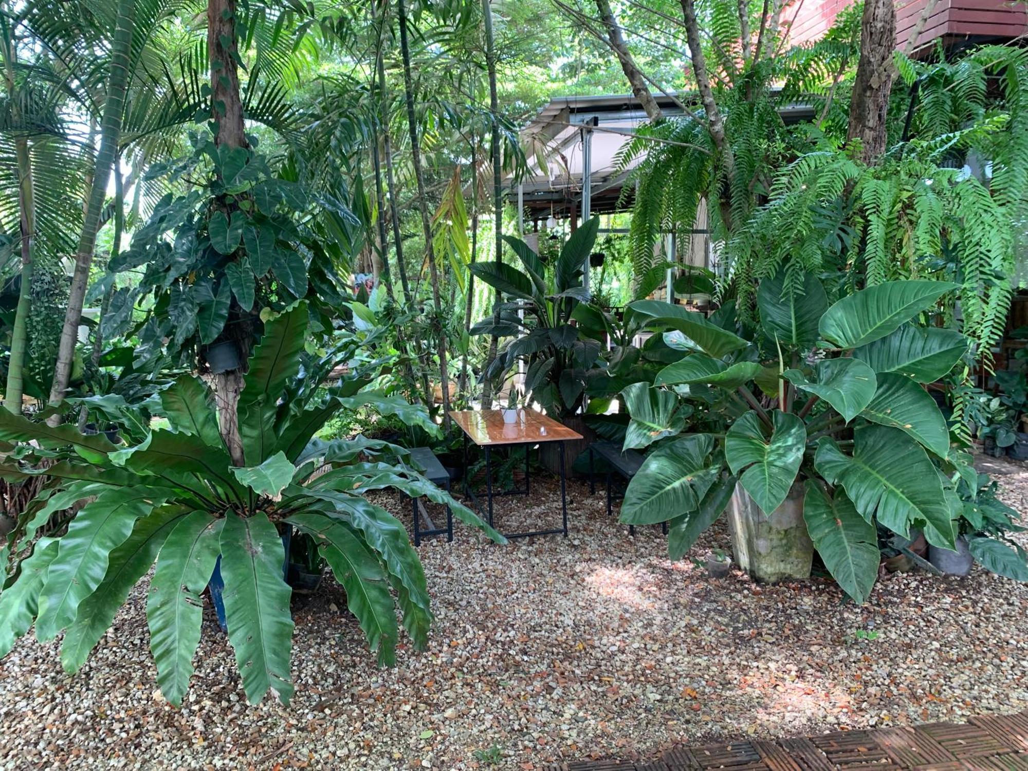 Baan Suan Duang Porn Resort Ban Phae  ภายนอก รูปภาพ