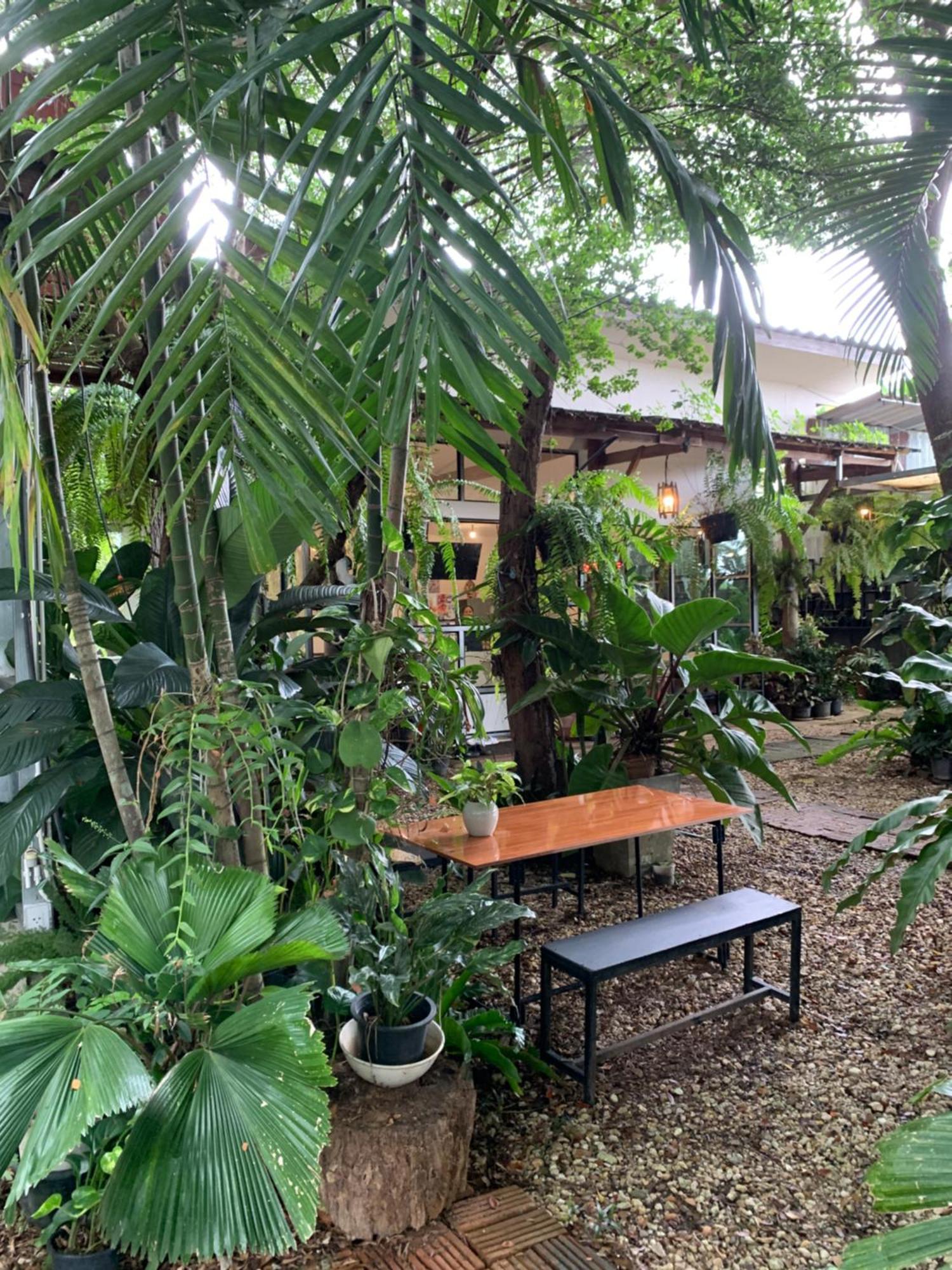 Baan Suan Duang Porn Resort Ban Phae  ภายนอก รูปภาพ