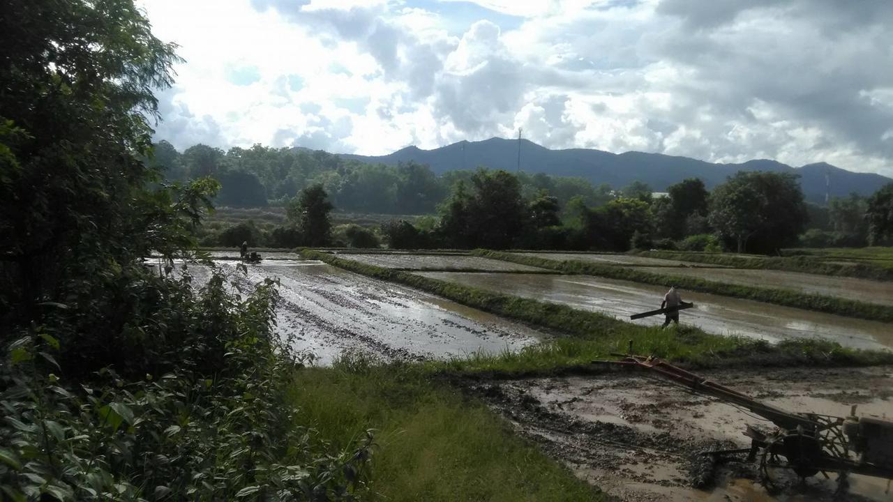 Baan Suan Duang Porn Resort Ban Phae  ภายนอก รูปภาพ